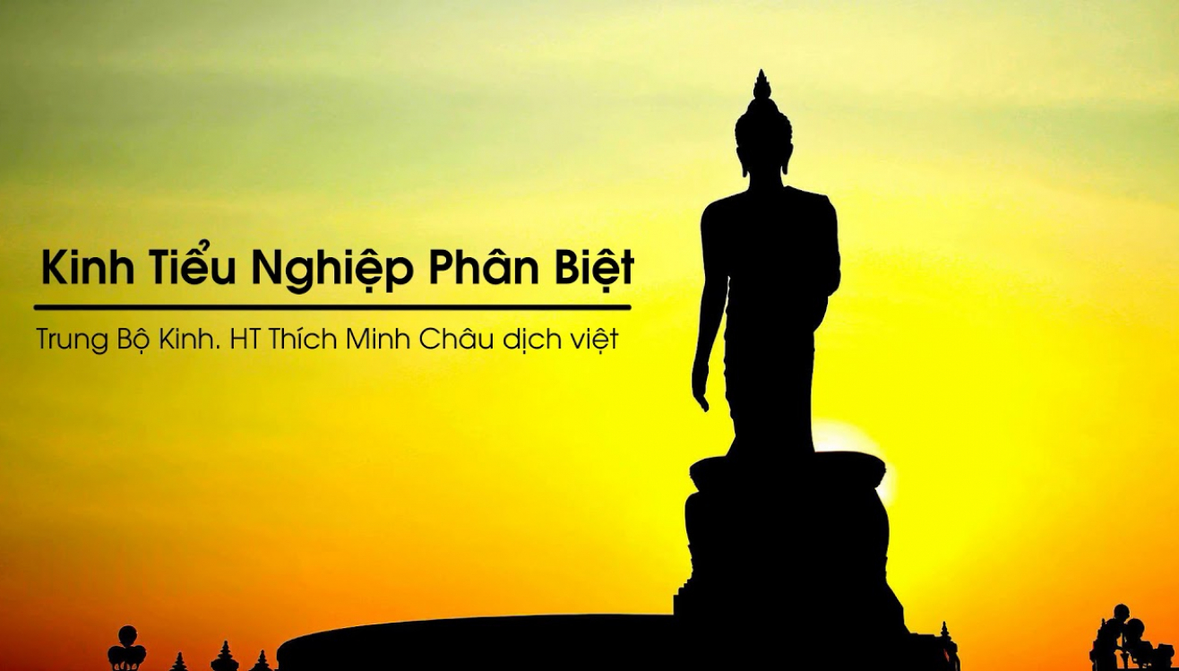 135. Tiểu kinh Nghiệp phân biệt (Cùlakammavibhanga sutta)