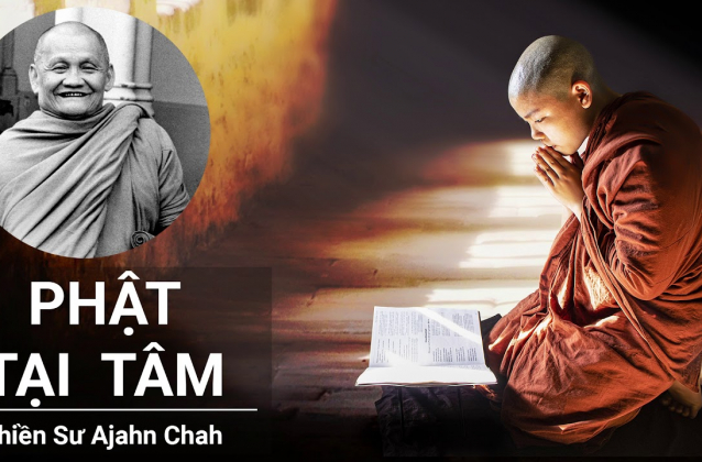 Lời Dạy Về Pháp Của Thiền Sư Ajahn Chah